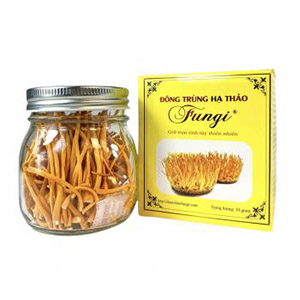 Sản Phẩm Hợp Tác