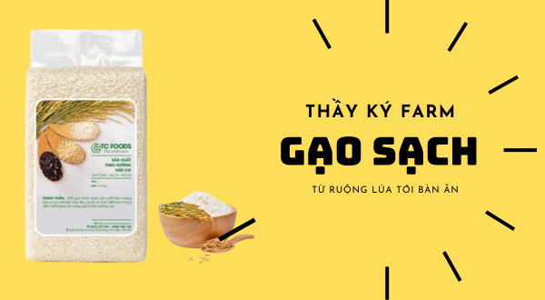 Rượu ngâm sâm ngọc linh